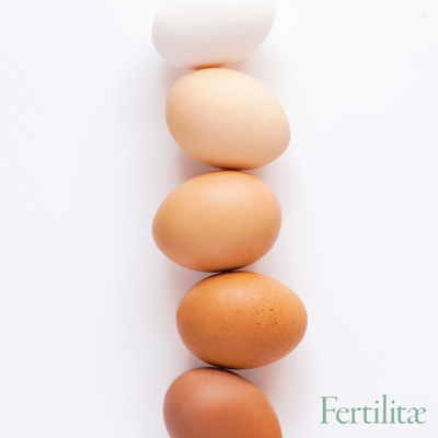 Why are Eggs a Fertility Superfood?