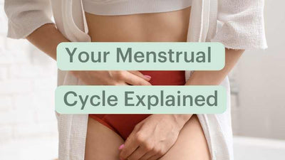 Your Menstrual Cycle Explained